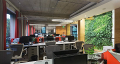 當裝修遇到雨季，辦公室應如何防潮？